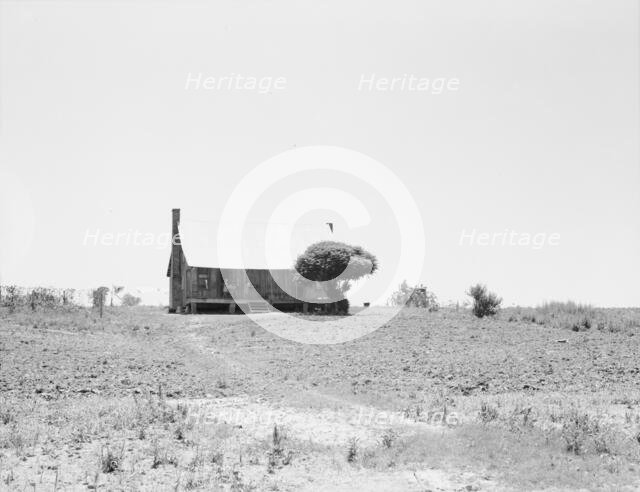 White sharecropper's home, near Cleveland, Mississippi, 1937. Creator: Dorothea Lange.