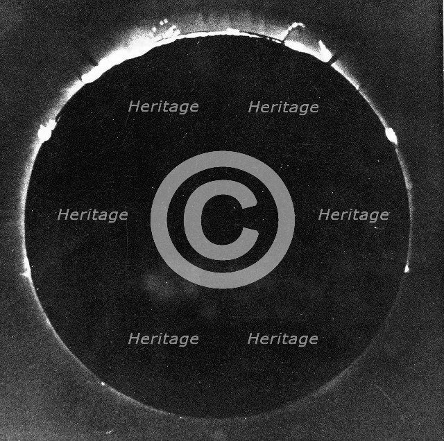 Warren de la Rue's photograph of total solar eclipse at Rivabellosa, Spain, 18 July 1860. Artist: Warren De La Rue