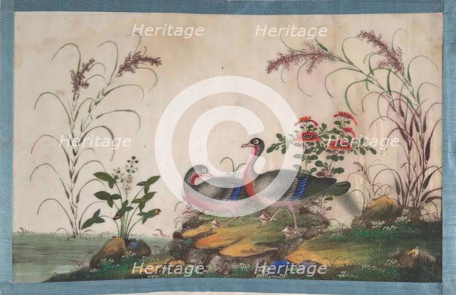 Album Containing Twelve Paintings of Birds, 19th century. Creator: Unknown.