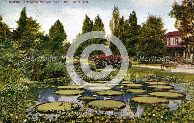Scene in Tower Grove Park, St Louis, Missouri, USA, 1908. Artist: Unknown