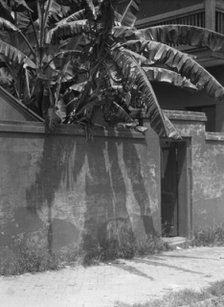 Wall with a doorway to a courtyard and a house, New Orleans, between 1920 and 1926. Creator: Arnold Genthe.