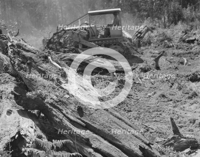 Possibly: Bulldozer equipped with grader..., near Vader, Lewis County, Western Washington, 1939. Creator: Dorothea Lange.