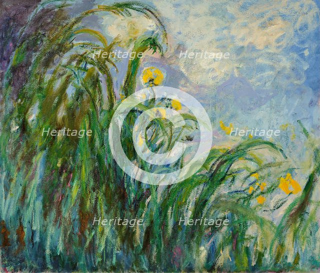 Yellow irises, c. 1925. Creator: Monet, Claude (1840-1926).