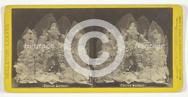 Charles Sumner, 1874. Creator: John P. Soule.