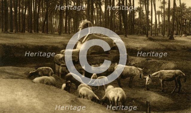 'Memphis - The Alabaster Sphinx', c1918-c1939. Creator: Unknown.