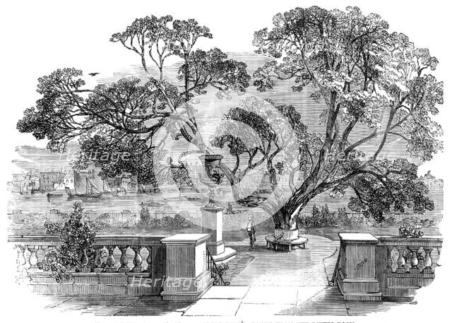 View of the Garden, at Sir Robert Peel's, taken from the Dining-Room, 1850. Creator: Unknown.