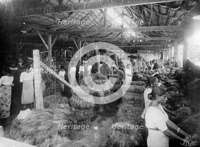 Coconut production, India, 20th century. Artist: Unknown