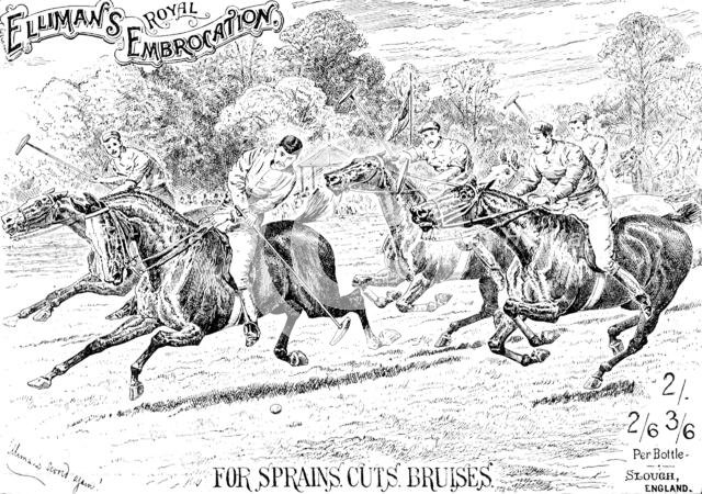 Advertisement for Elliman's Royal Embrocation, 1895.  Creator: Unknown.