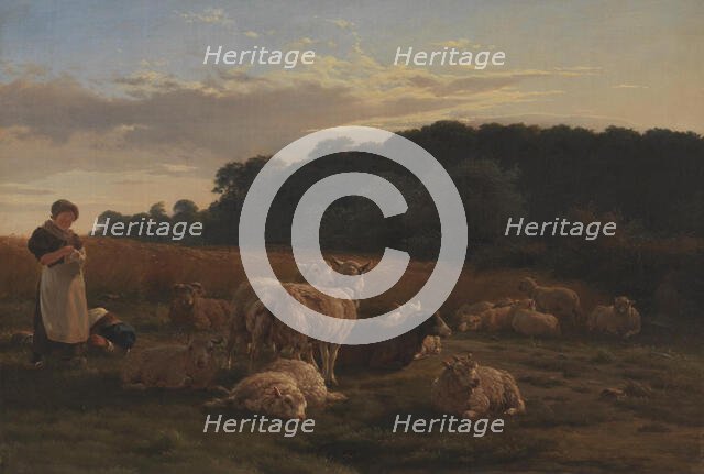 Flock of sheep, Faksinge Forest near Nysø, 1847-1848. Creator: Carlo Eduardo Dalgas.