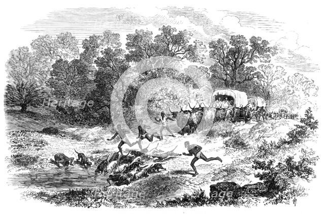 Travelling in Africa: the rain-pool by the way, 1869. Creator: Unknown.