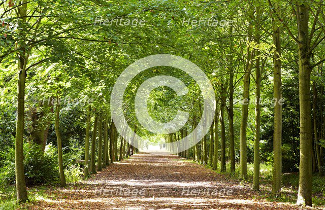 Wrest Park House and Gardens, Silsoe, Bedfordshire, c1980-c2017. Artist: Historic England commissioned photographer.