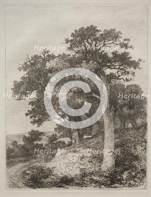 At Colney. Creator: John Crome (British, 1768-1821).