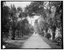 Colonial Park, Savannah, Ga., c1907. Creator: Unknown.