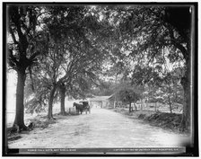 Toll gate, Bay Shell Road, Mobile, Ala., c1901. Creator: Unknown.