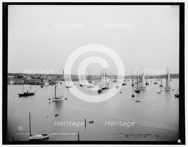 N.Y.Y.C. fleet, Newport harbor, 1888 Aug 10. Creator: Unknown.