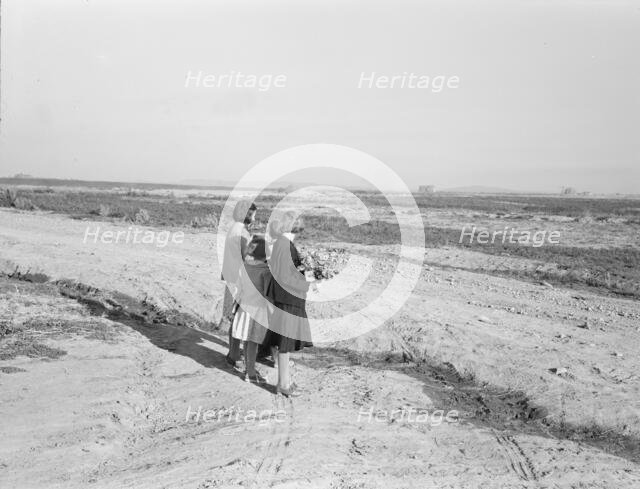 Four of the seven Browning children wait for the school bus..., Dead Ox Flat, Oregon, 1939. Creator: Dorothea Lange.