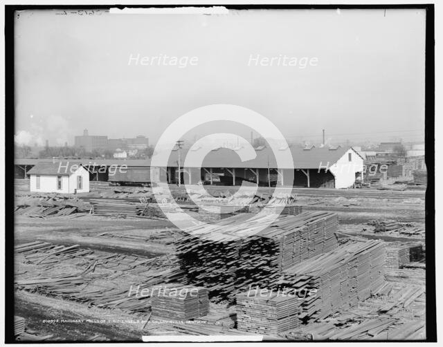 Mahogany mills of C.C. Mengel & Bro. Co., Louisville, Kentucky, c1906. Creator: Unknown.