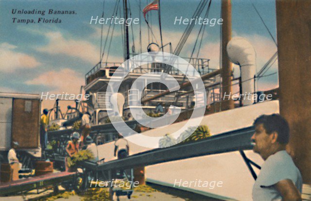 'Unloading Bananas, Tampa, Florida', c1940s. Artist: Unknown.