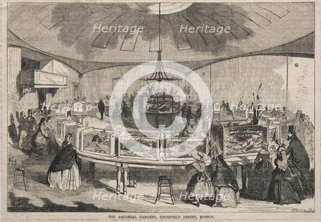 The Aquarial Gardens, Bromfield Street, Boston, 1859. Creator: Winslow Homer (American, 1836-1910).