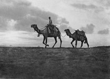 Camels in the desert outside Cairo, Egypt, c1920s. Artist: Unknown