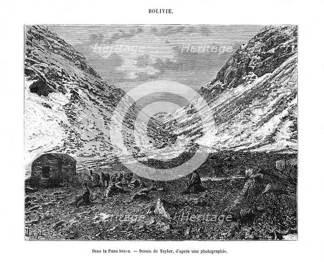 Altiplano or 'Puna', Bolivia, 19th century. Artist: T Taylor