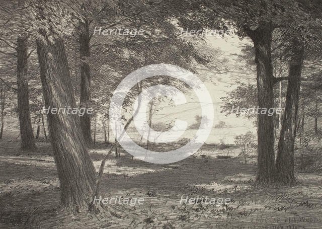 Edge of the Woods, c1920s. Creator: Bolton Coit Brown.