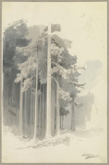Poetic coniferous forest on a slope, sketch of a figure walking downhill (or leaning?)..., 1844. Creator: Carl Theodor Reiffenstein.