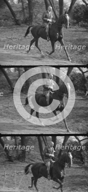 Rothbart, Albert, Mr., on horseback, between 1920 and 1935. Creator: Arnold Genthe.