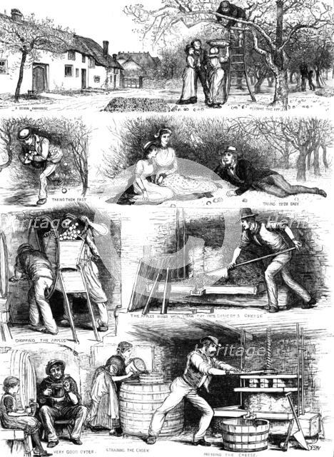 Apple-gathering and cider-making in Devonshire, 1883. Creator: Unknown.