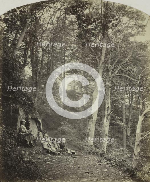A Path Through a Wood, c. 1860. Creator: Major Francis Gresley (British).