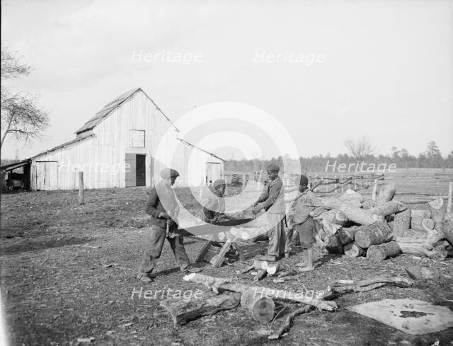 "Nigger in the wood pile", c1905. Creator: Unknown.