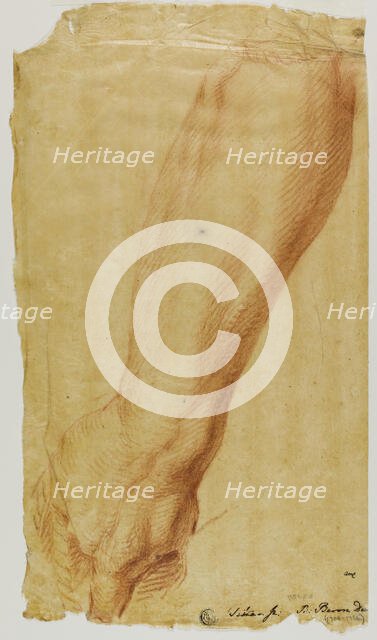 Left Arm of a Hunter, n.d. Creator: Bernard Baron.