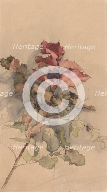 Study of the shrub, 1900. Creator: Karel Vitezslav Masek.