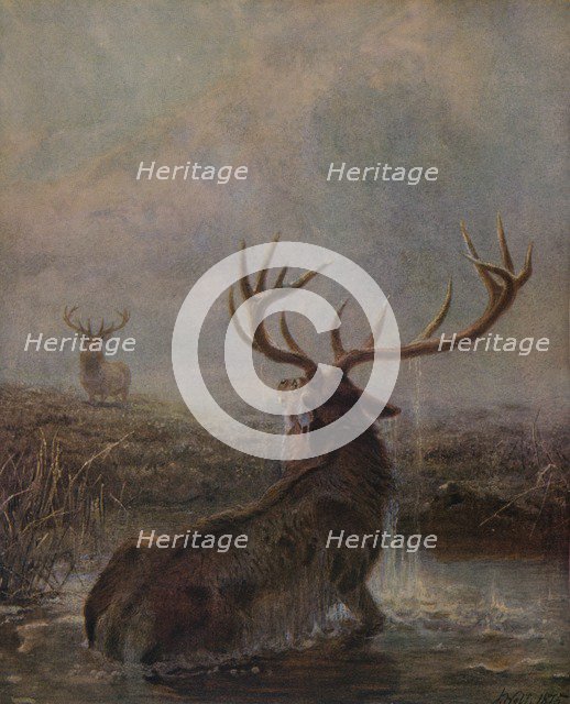 'Interrupted', 1875, (1938). Artist: Joseph Wolf.