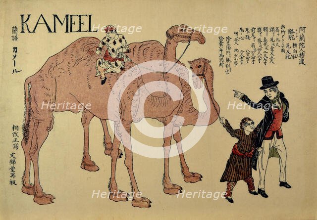Camels with Dutch Handlers, ca. 1821. Creator: Unknown.