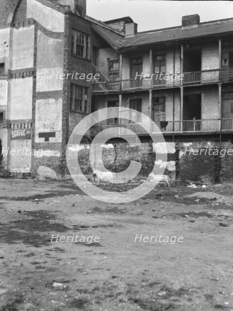Slave quarters, New Orleans, between 1920 and 1926. Creator: Arnold Genthe.
