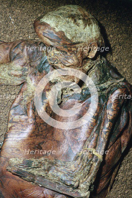 Lindow Man, found in a peat moss bog in Ireland, c2nd century BC. Artist: Unknown