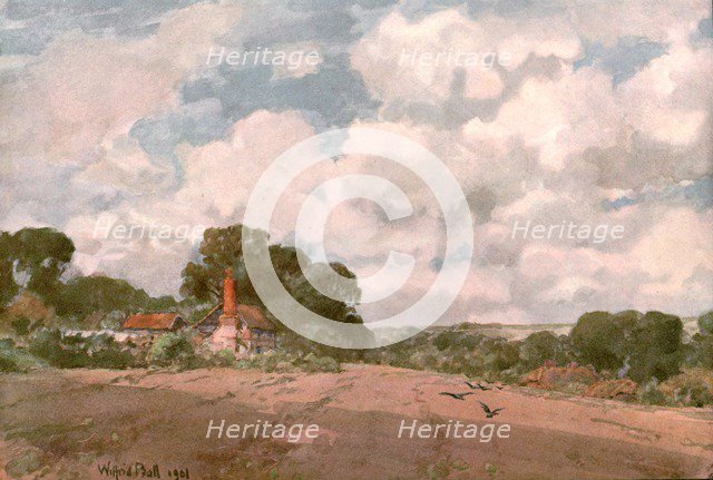 'Near the Hogsback, Surrey', 1901. Creator: Unknown.
