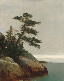 The Old Pine, Darien, Connecticut, 1872. Creator: John Frederick Kensett.