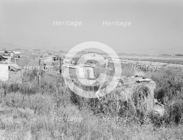 Potato pickers' camp, Tulelake, Siskiyou County, California, 1939. Creator: Dorothea Lange.