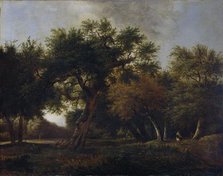 View in the Woods, 1660-1680. Creator: Jan van Kessel.