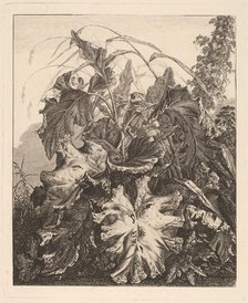 Foliage with Reeds, c.1810. Creator: Carl Wilhelm Kolbe the elder.