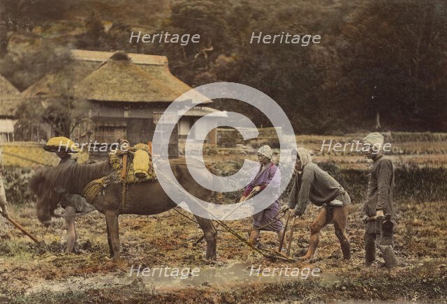 Ploughing, about 1873-1883. Creator: Shinichi Suzuki I.