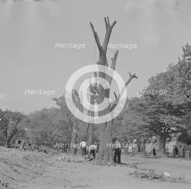 Preparing the ground for the construction of emergency buildings..., Washington, D.C, 1942. Creator: Gordon Parks.