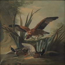 A Hawk Pouncing on a Pair of Ducks, 1701-1755. Creator: Unknown.