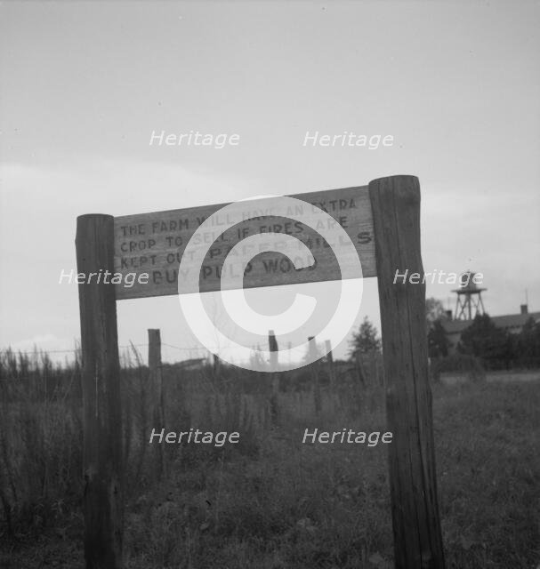 Roadsign near Fullerton, Louisiana, 1937. Creator: Dorothea Lange.