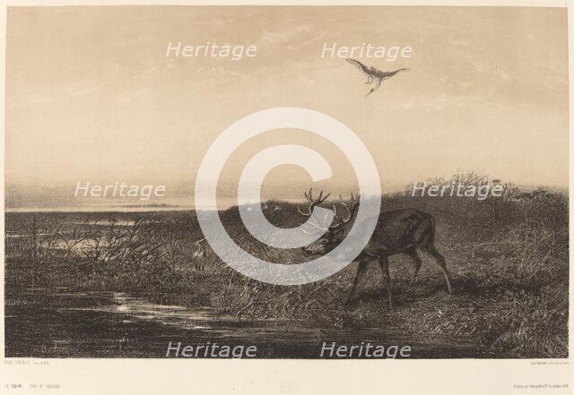 Le Soir. Cerf et Herons. Creator: Karl Bodmer.