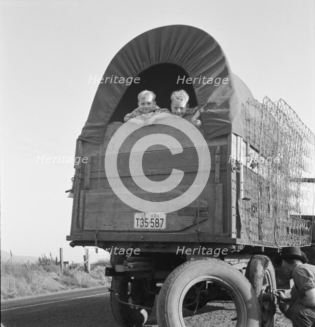 Just arrived from Kansas, on highway going to potato..., near Merrill, Klamath County, Oregon, 1939. Creator: Dorothea Lange.