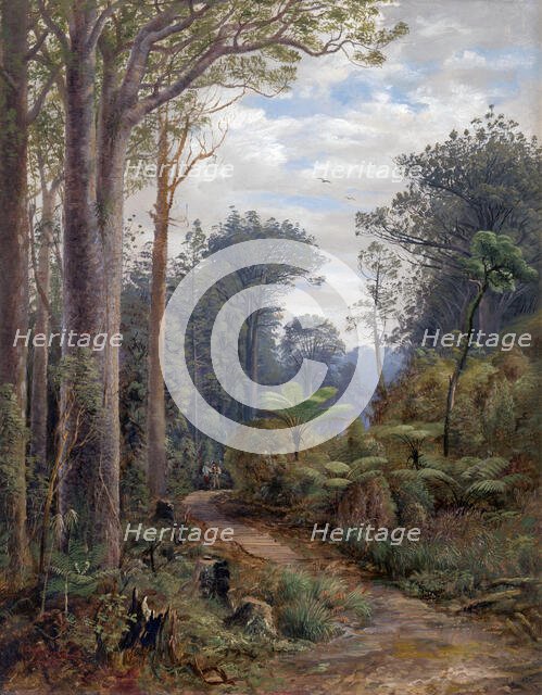 Among the kauris, Waitakeres, 1884. Creator: Charles Blomfield.