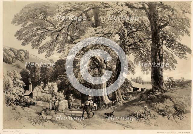 Bury Hill, Dorking, 1825-1849. Creator: James Duffield Harding.